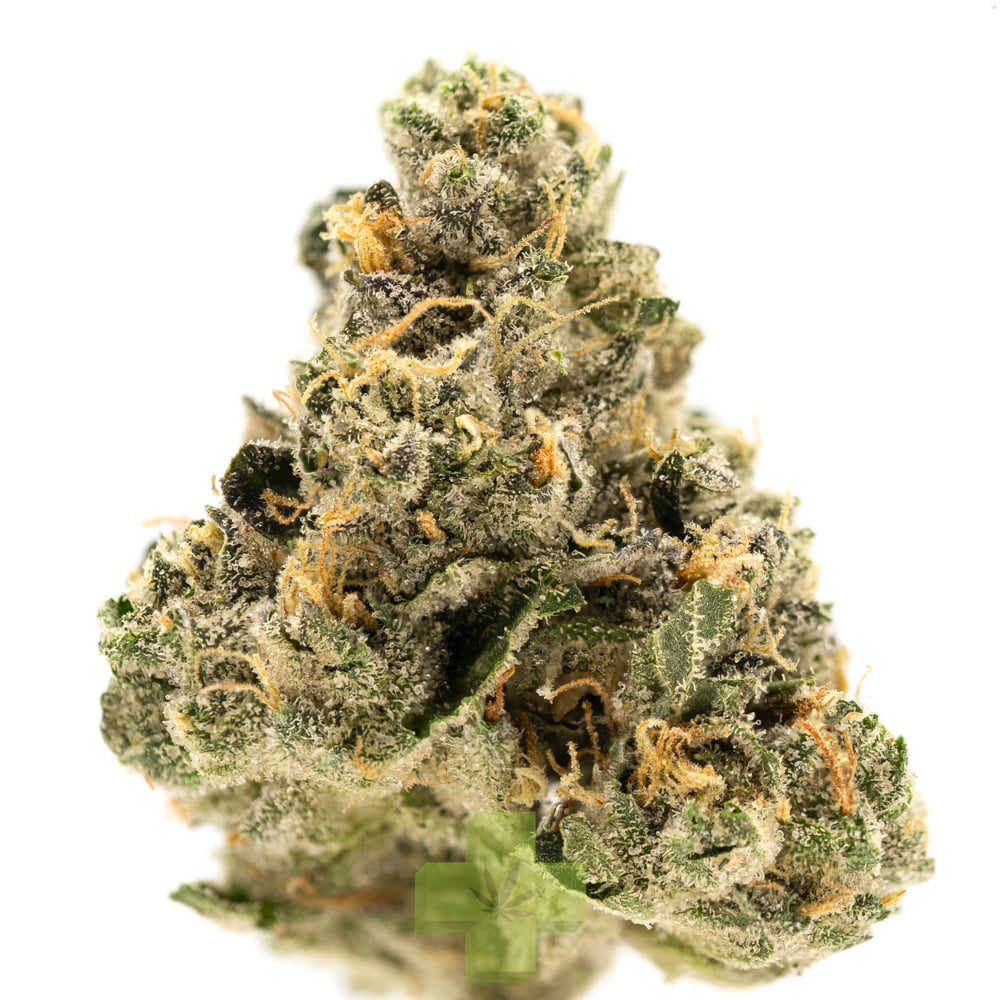 UpNorth: Humboldt OG