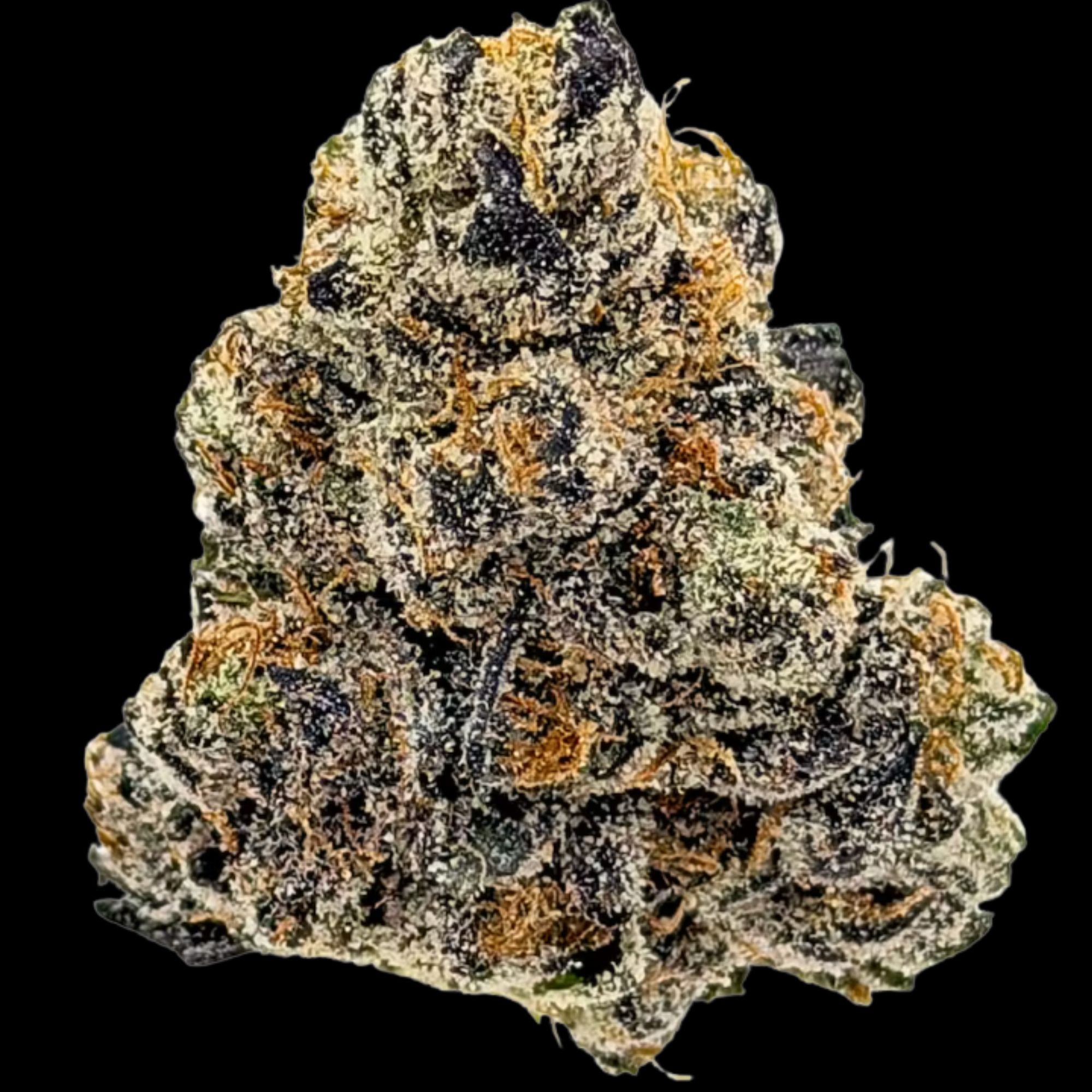 SATTVA: Gelato Pop