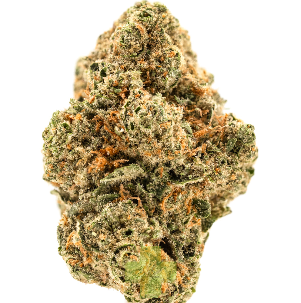 Quiet Kings: Gorilla Truffle Royal Reserve