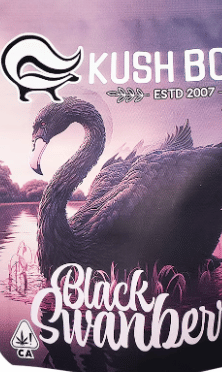 Kush Boys: Black Swanberry