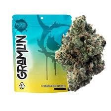Gramlin: Lcg Bx