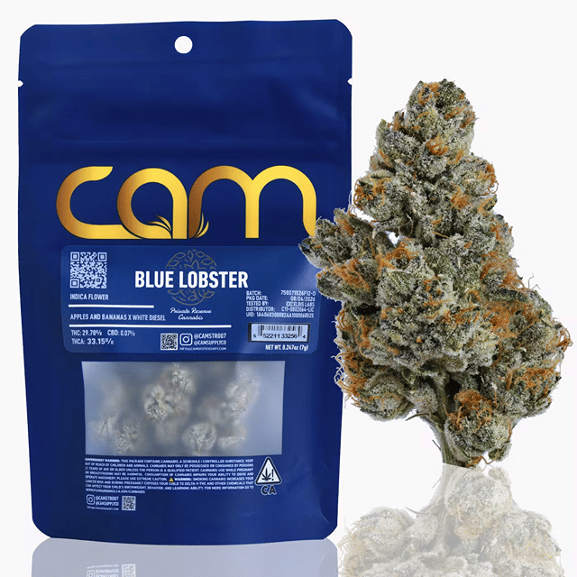 CAM: Blue Lobster