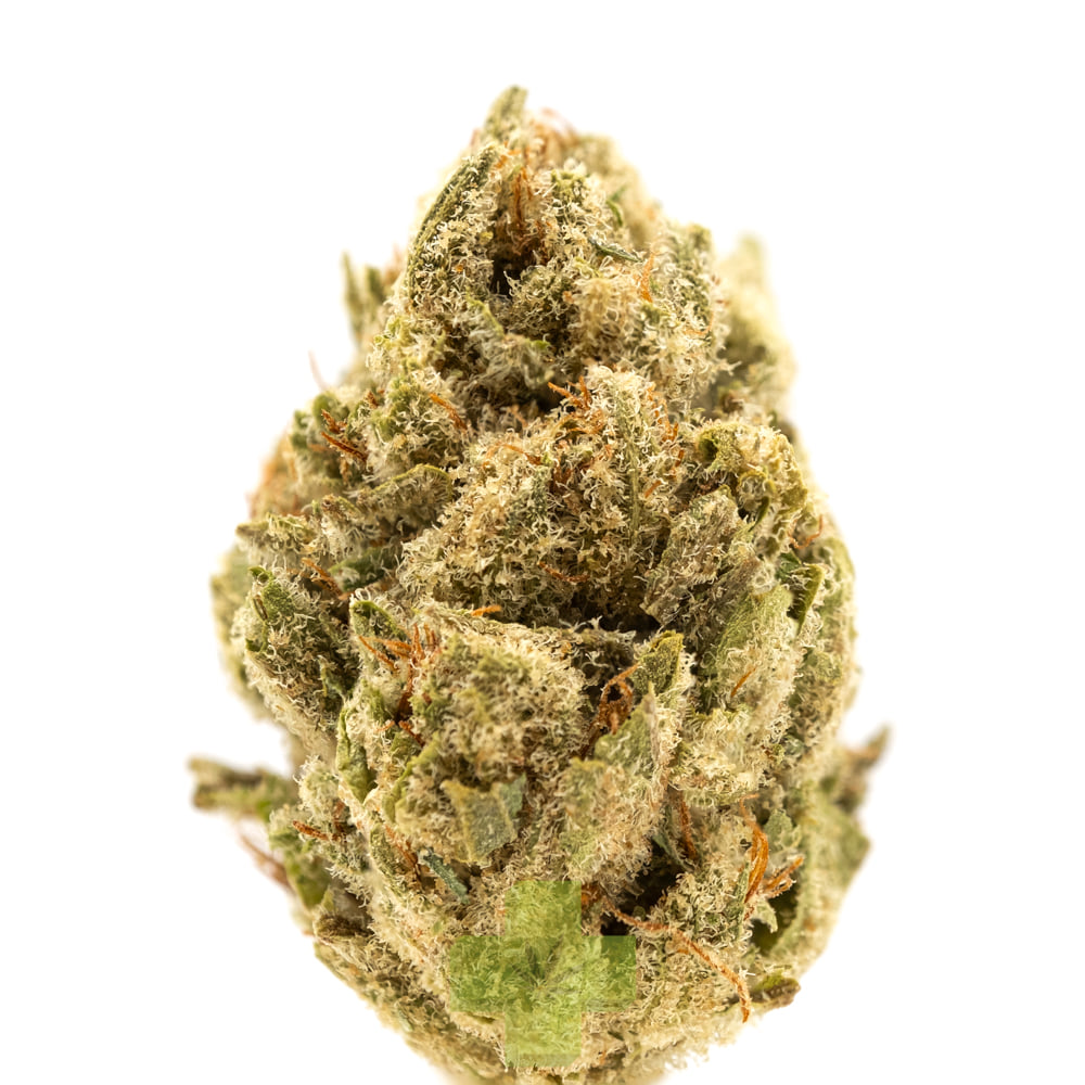 Stiiizy: Mango Haze, Sg
