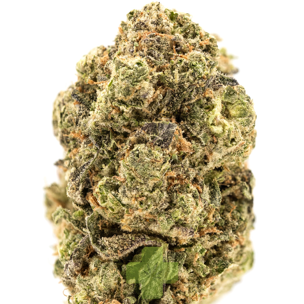 Quiet Kings: Mint Cake, Sg