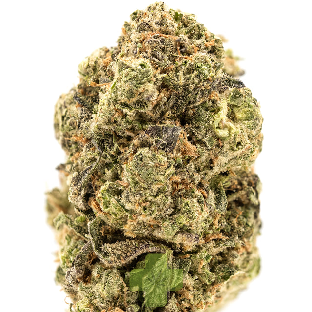 Quiet Kings: Mint Cake, Sg