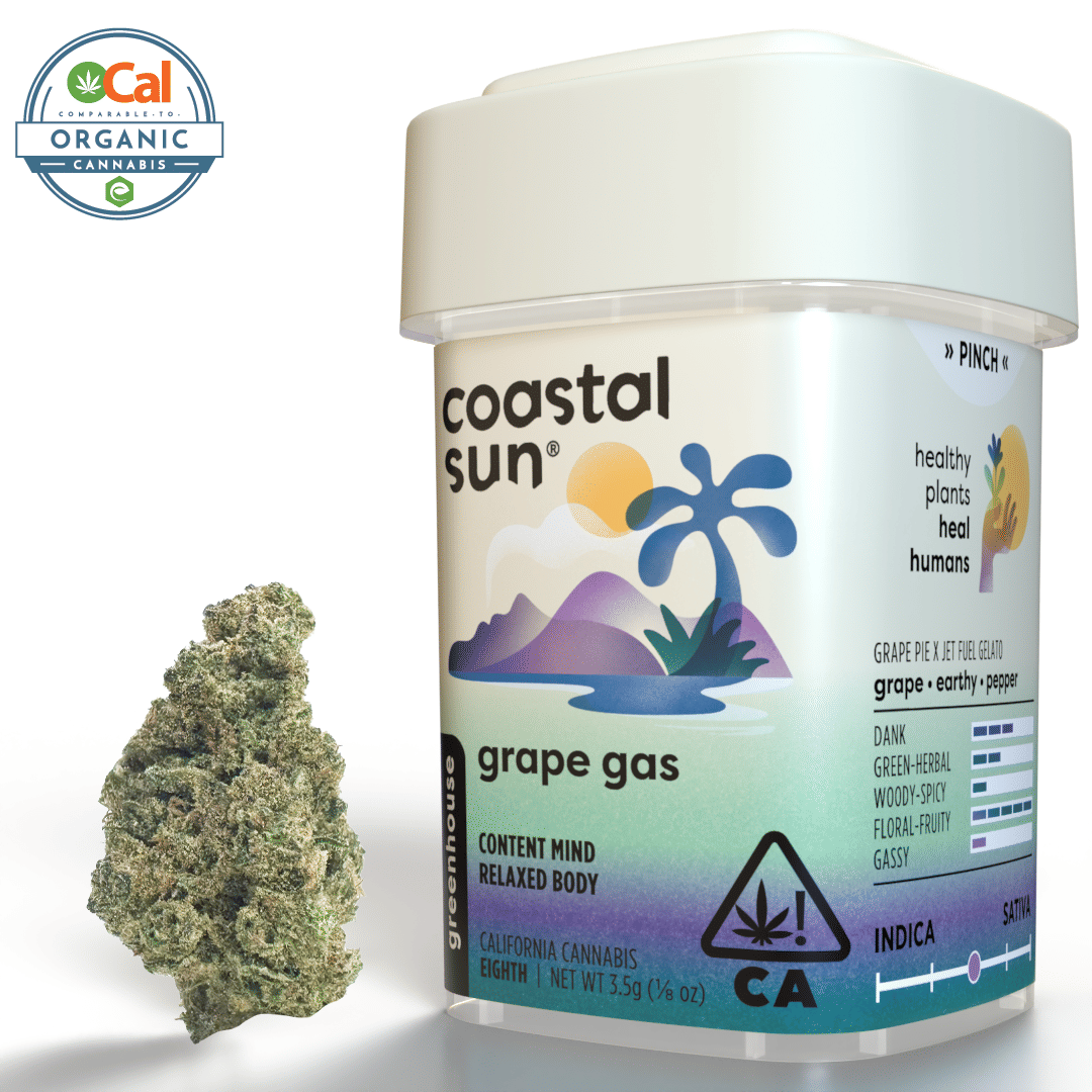 Coastal Sun: Grape Gas