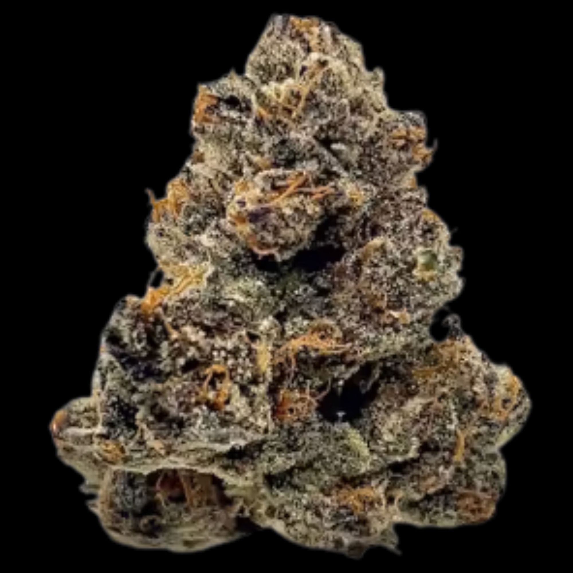 SATTVA: Bubblegum Runtz