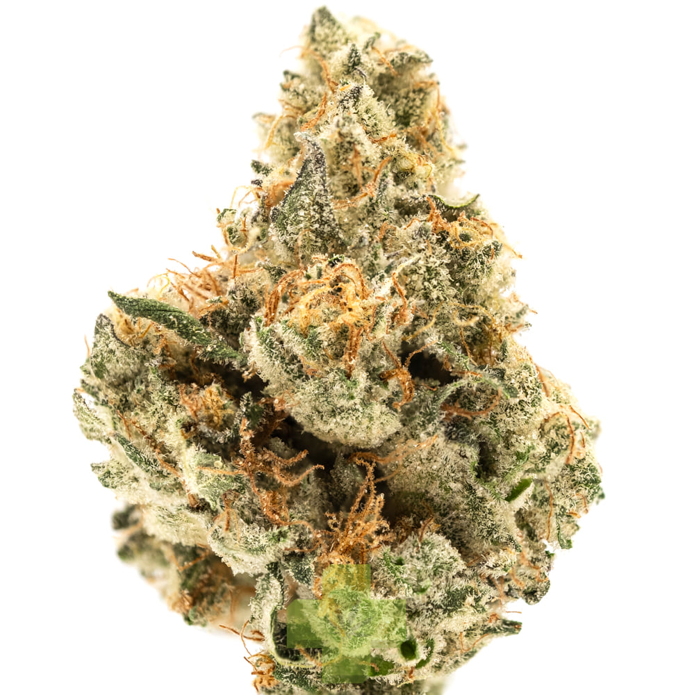 Northern Harvest: Maui Wowie