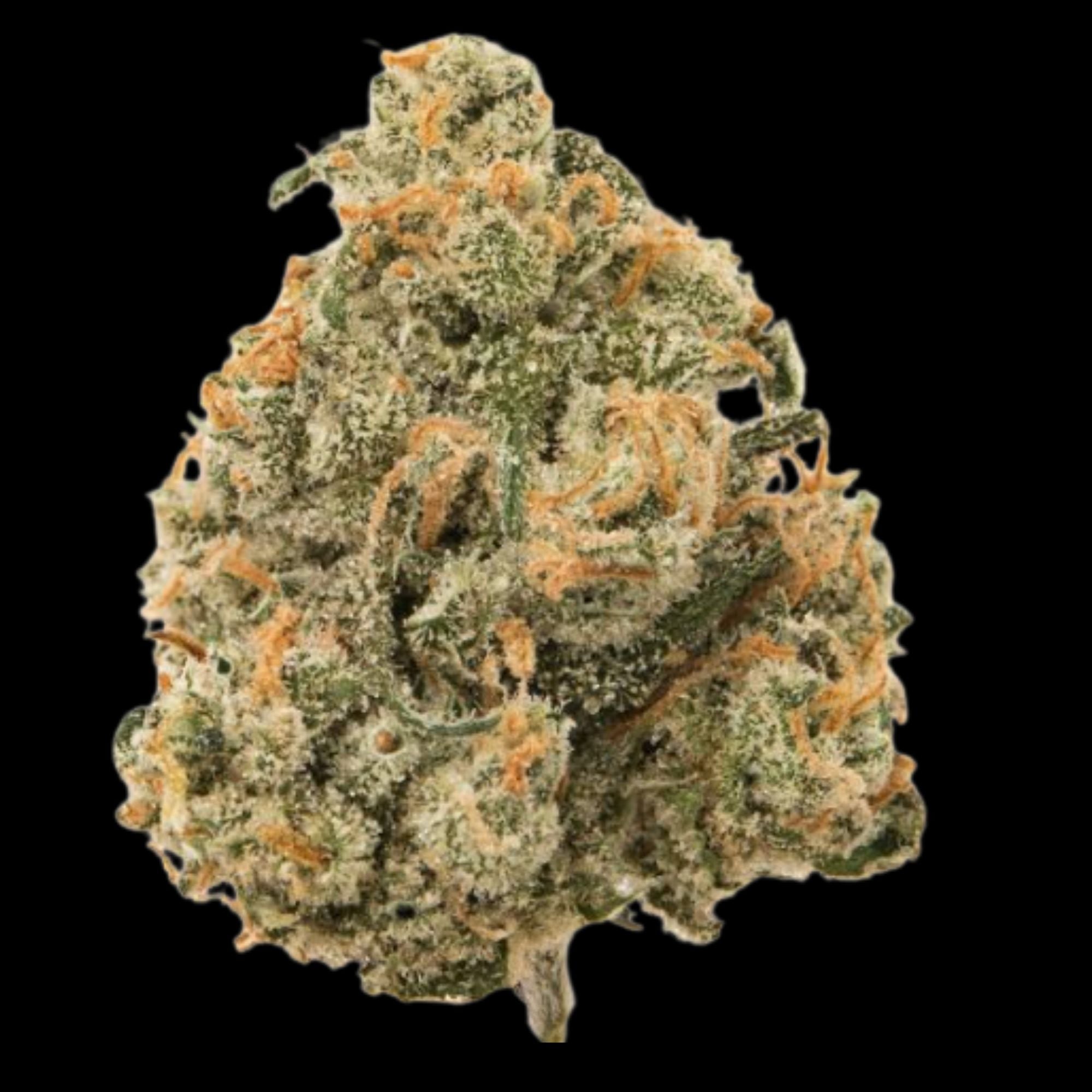 818: Jack Herer