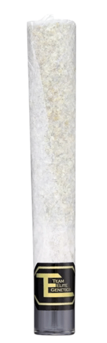Team Elite Genetics: Purple Cheese Hole