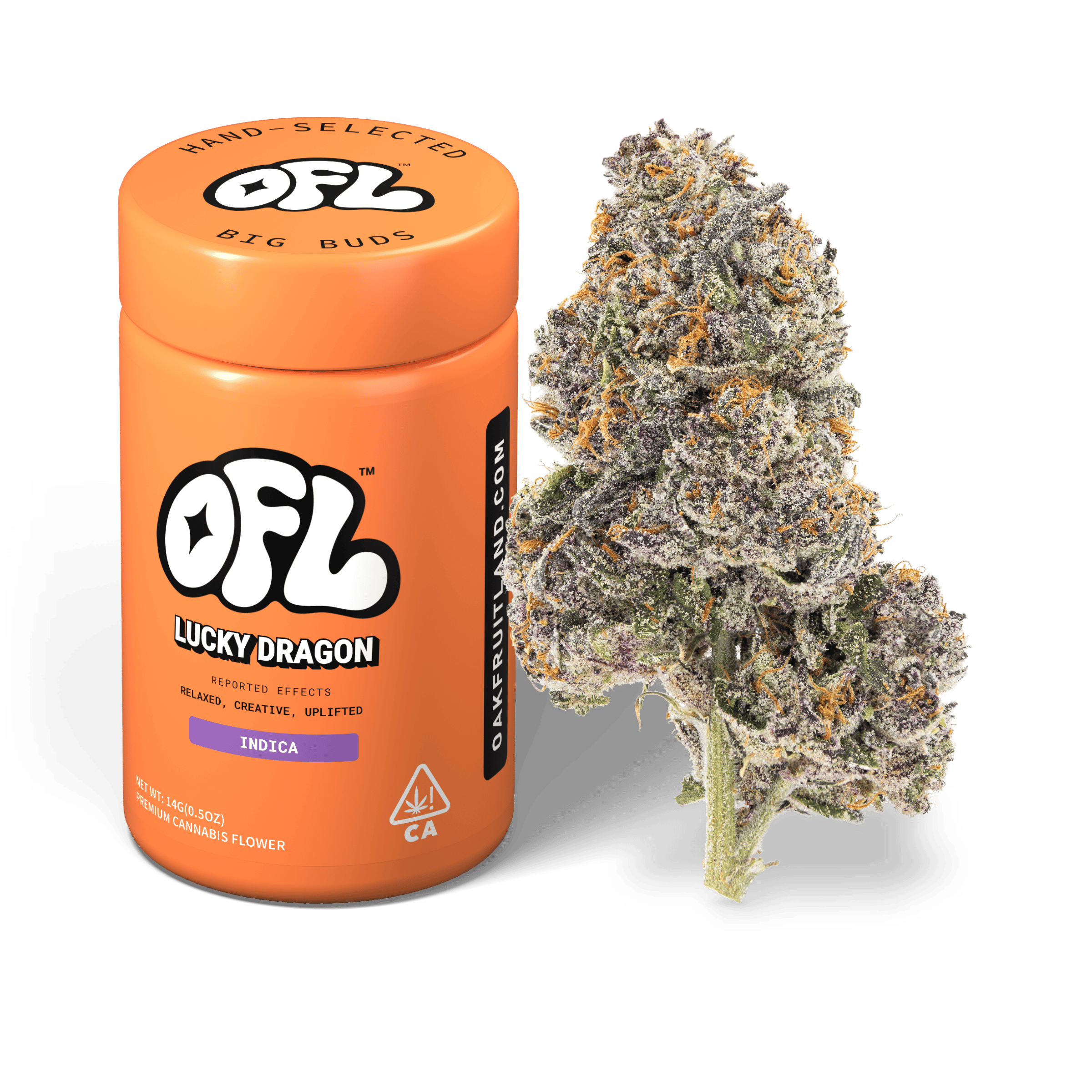 Oakfruitland: Lucky Dragon