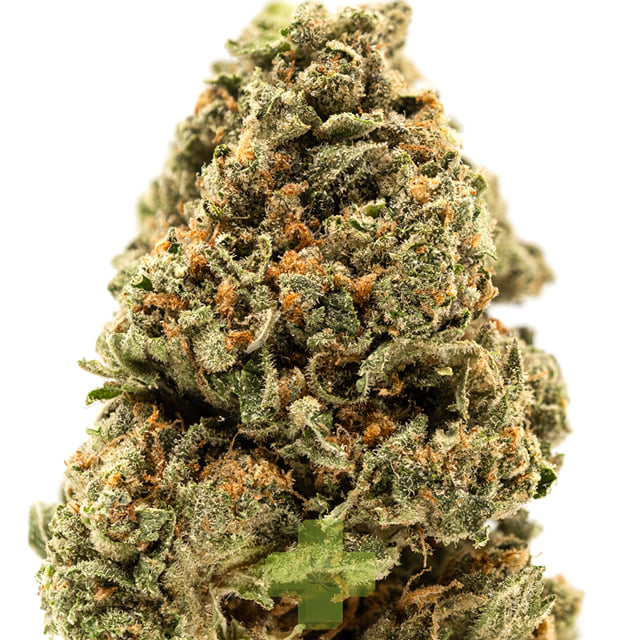 Quiet Kings: Peanut Butter Cookies, Sg