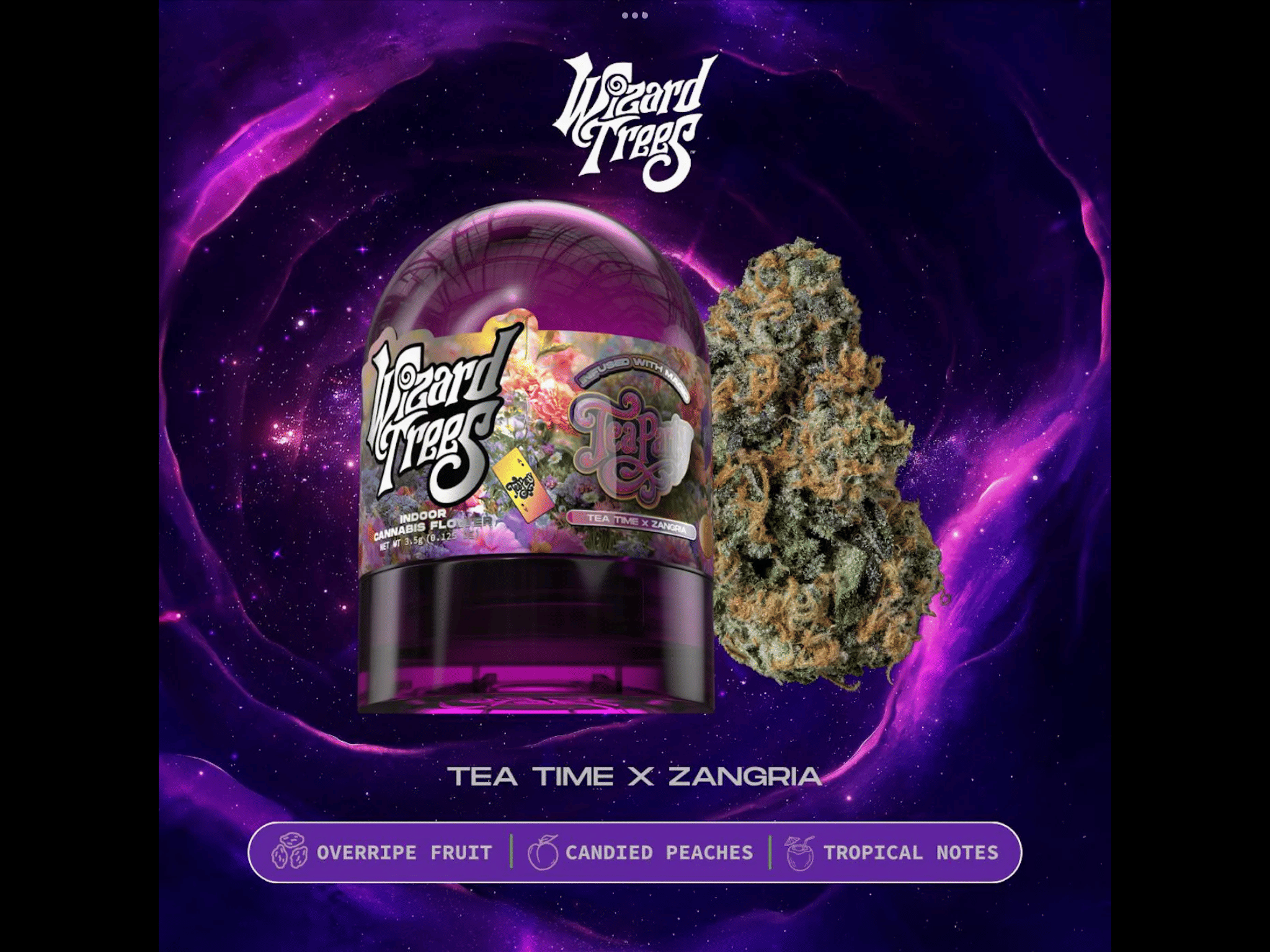 WIZARD TREES: Tea Party