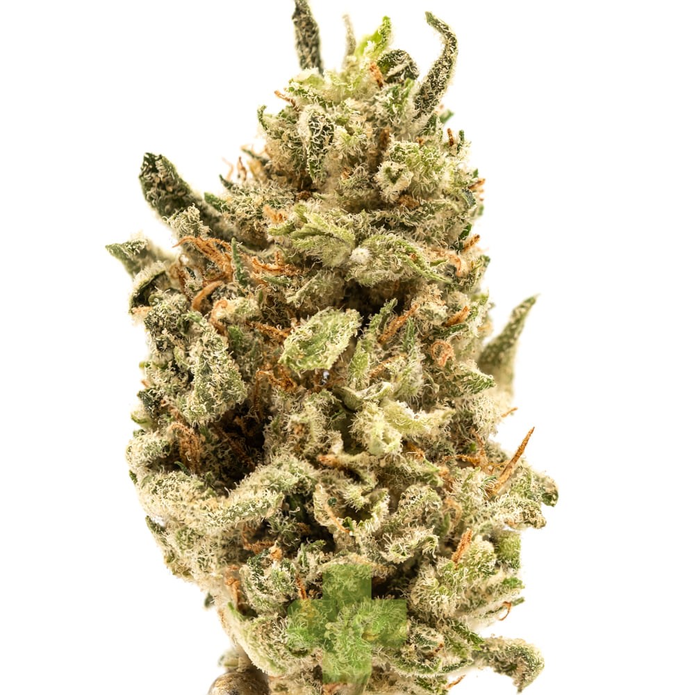 Stiiizy: Pineapple Trainwreck, Gh
