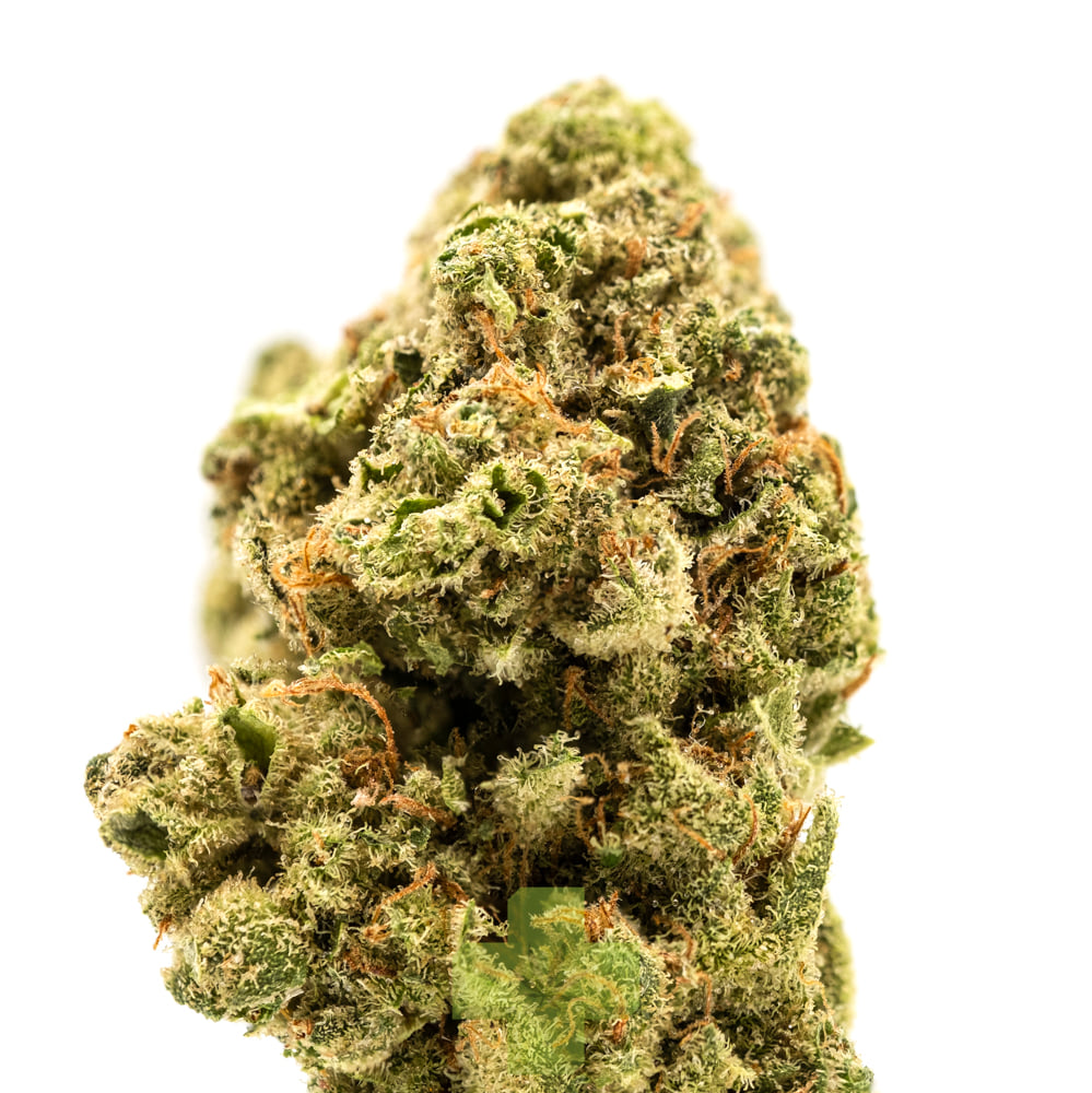 Quiet Kings: Green Lantern, Sg