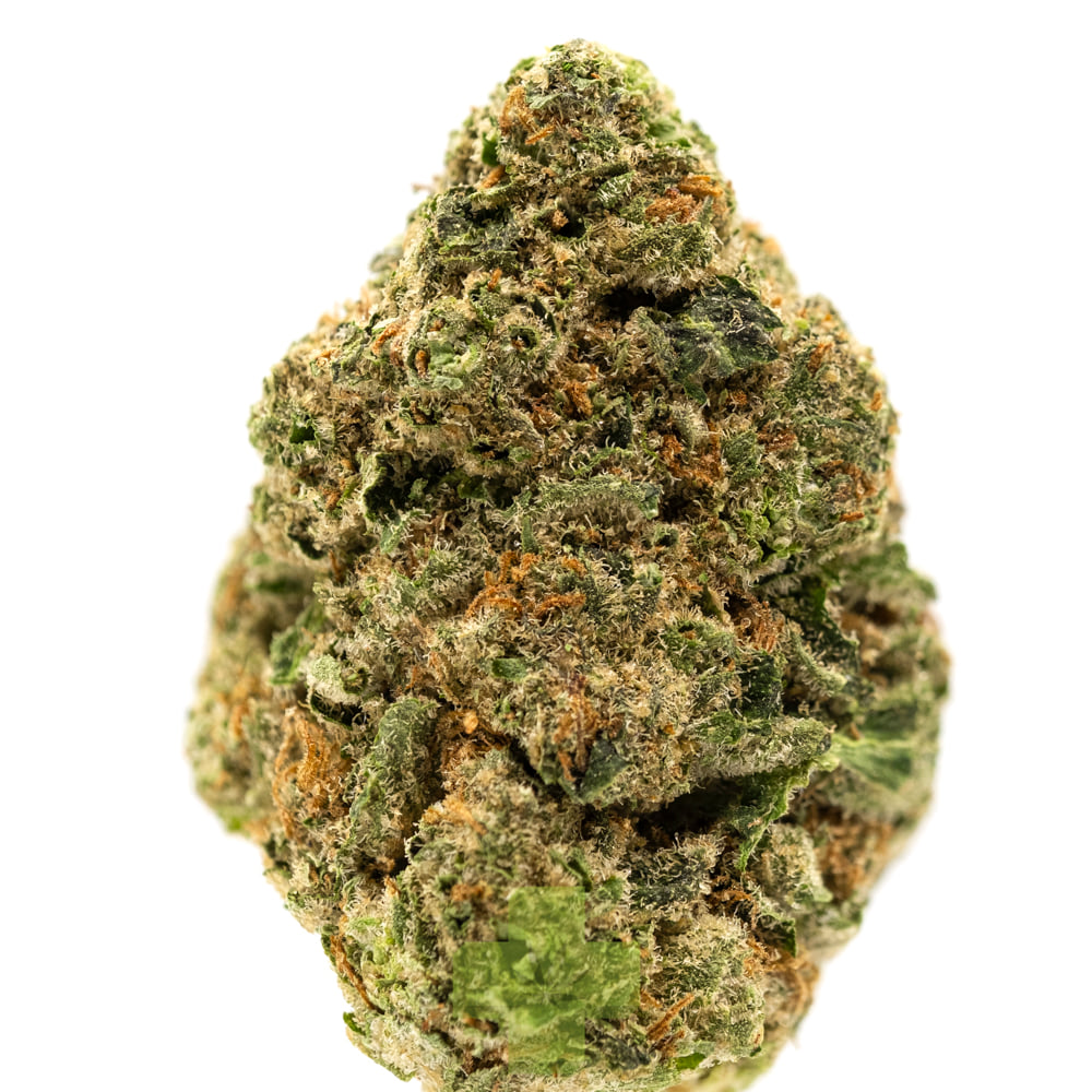 Quiet Kings: Grape Stomper, Sg