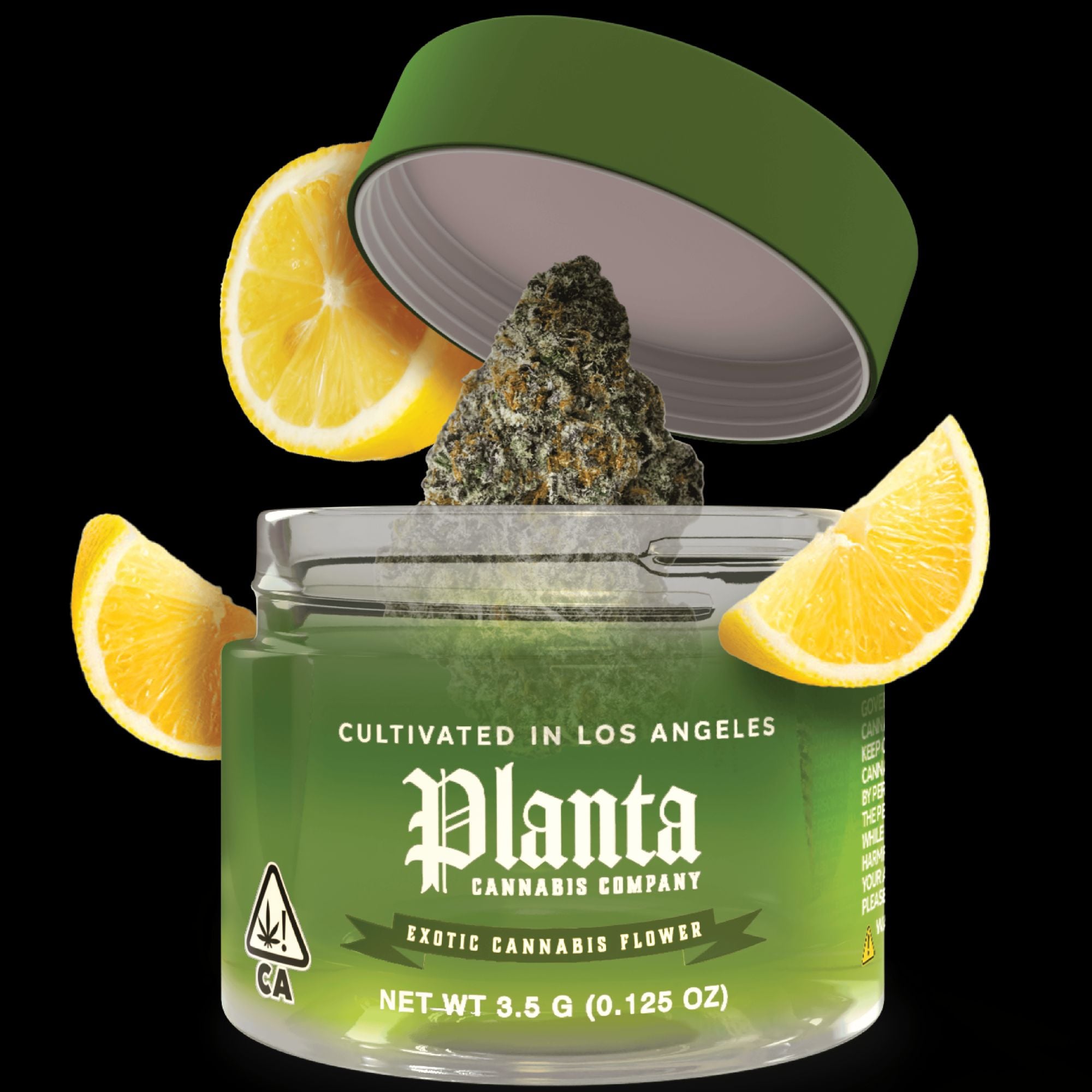 Planta: Lulu S Lemons